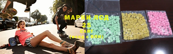 ешки Аркадак