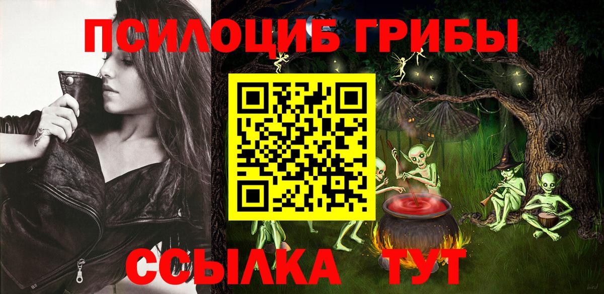 Зима  Галлюциногенные грибы прущие грибы  Галлюциногенные грибы мухоморы  Вход с VPN 